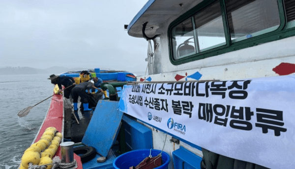 한국수산자원공단(FIRA, 이사장 김종덕) 남해본부가&nbsp;사천시 신수도 해역에서 ‘소규모바다목장 조성사업’의 일환으로 건강한 볼락 치어 112,533마리를 성공적으로 방류했다./사진=한국수산자원공단