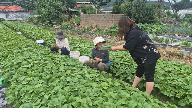 대구시, 온열질환 예방 현장지도/사진=대구시