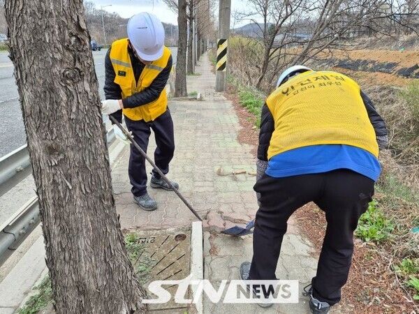 위험 가로수 철제보호판 정비. /사진=검단구