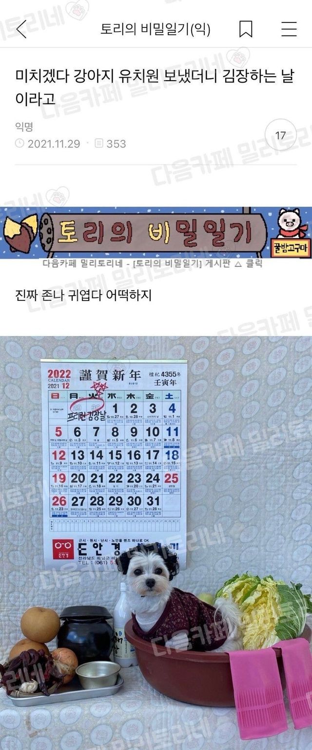 미치겠다 강아지 유치원 보냈더니 김장하는 날이라고.jpg