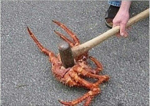 다운로드파일_20241003_161411.jpg 이제 홍명보 감독님 호감으로 보이는게