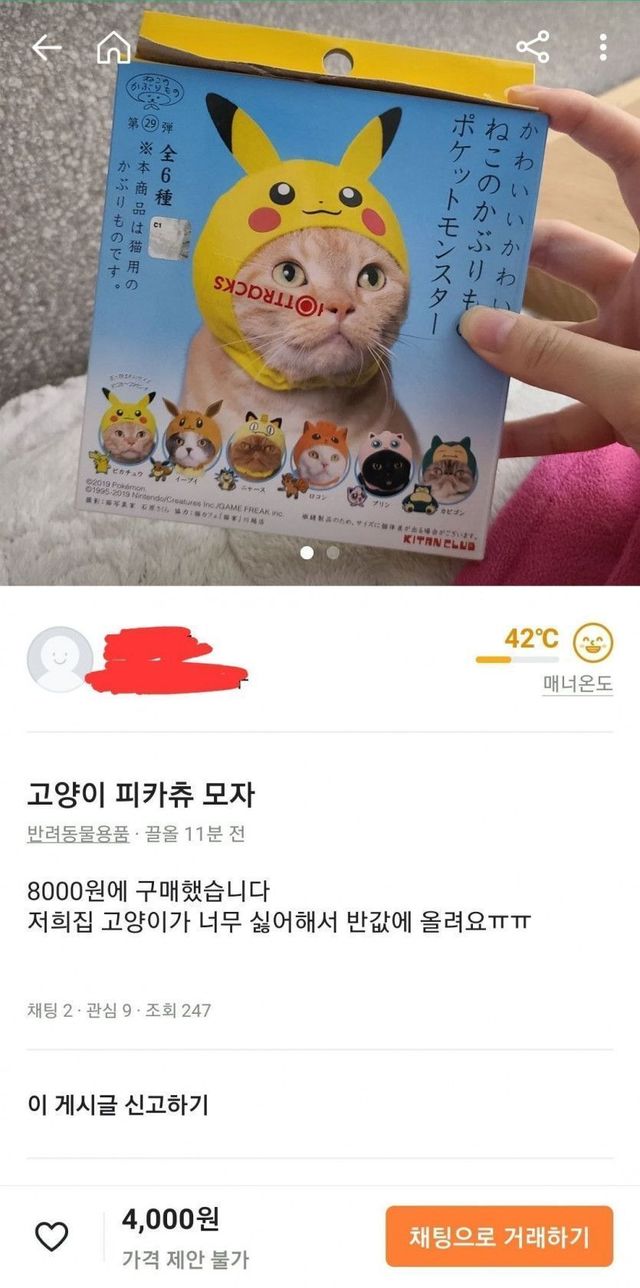 1.jpg 당근마켓 고양이 모자 판매 이유