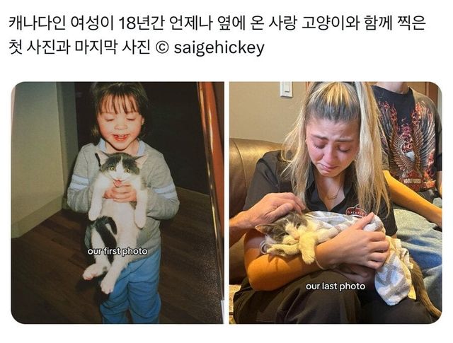 평생 친구의 처음과 마지막.jpg