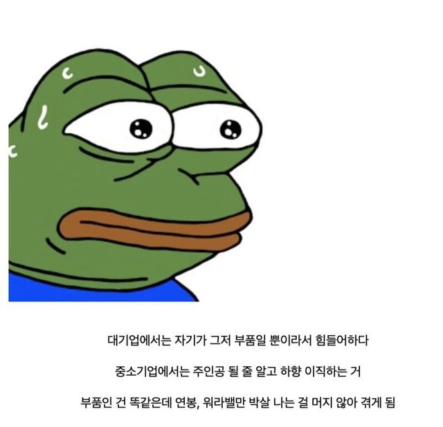 IMG_9955.jpeg 대기업 다니는 사람이 할수있는 최악의 선택