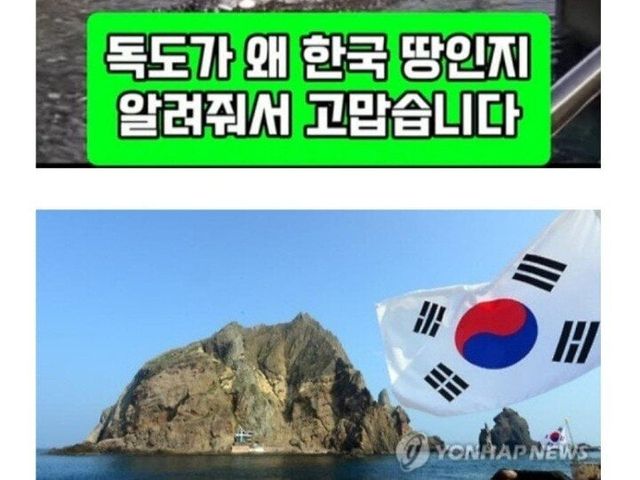 독도가 한국 땅이라는 미국인