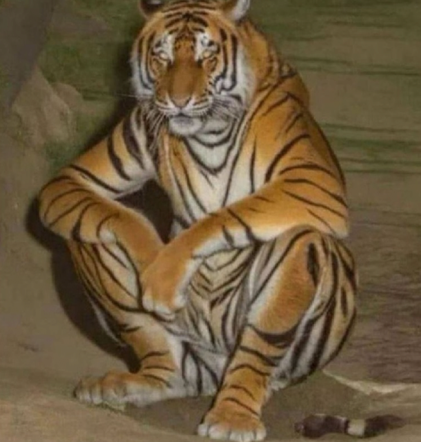 AI가 그린 지리산 호랑이.jpg