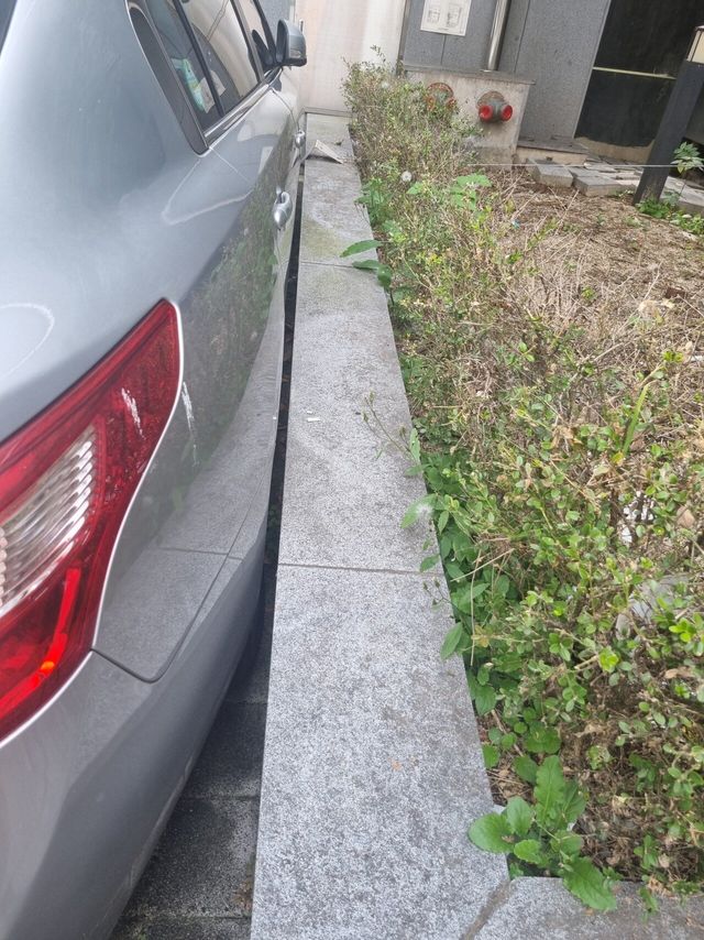 실수로 주차잘함..