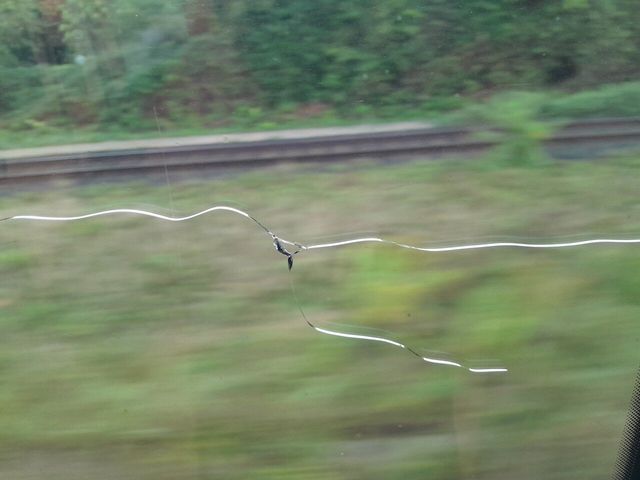 방금 뒤질뻔했다.ㄷㄷㄷㄷㄷ