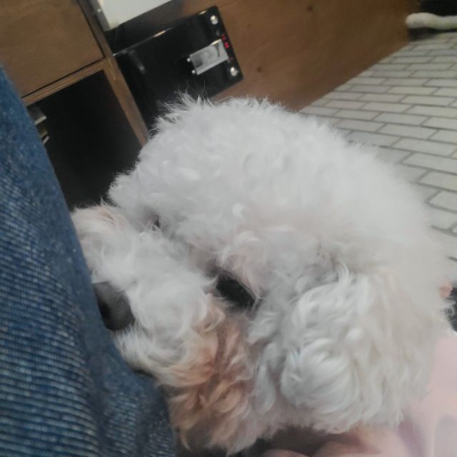 슬픈 쿠팡맨의 하루