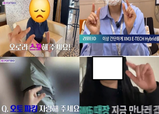 3.jpg.ren.png 르노코리아