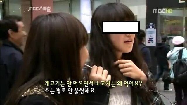 진짜 솔직한 개고기 반대 이유 ㄷㄷㄷ.jpg