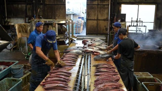 7ced9e2cf5d518986abce8954783716c7f4a