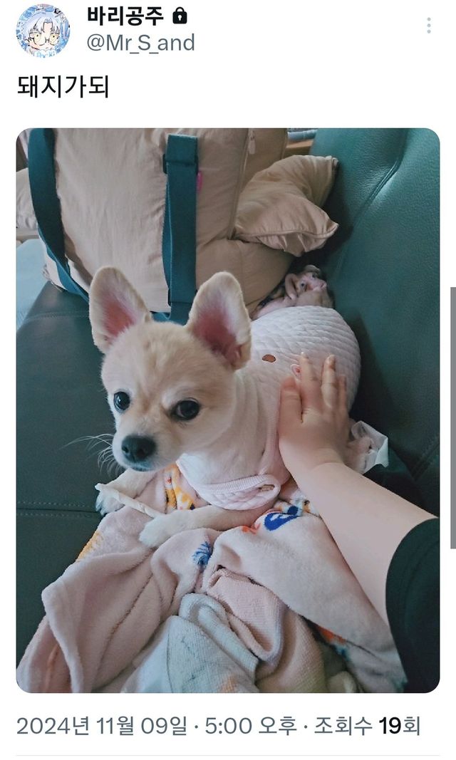 Screenshot_20241112_181423_X.jpg 한남들 땀냄새 심하다는 트위터 유저