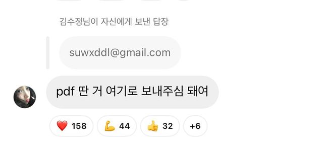 정답소녀 김수정이 악플 관련 pdf 수집 중임