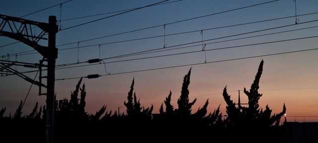 20240613_201621.jpg 아버지가 돌아가셨다.