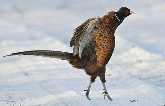 1000011474.jpg 오늘 출근중인 사람들 상황.JPG