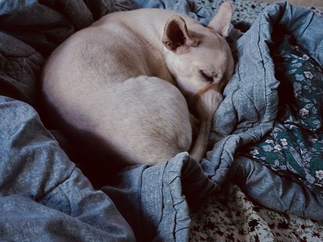 내가 침대에 못눕는 이유