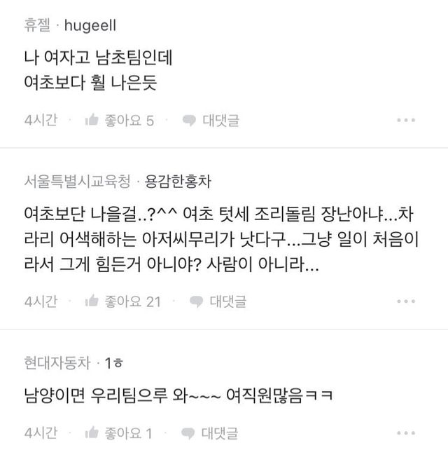 남초라서 우울하다는 블라 현대차녀...jpg