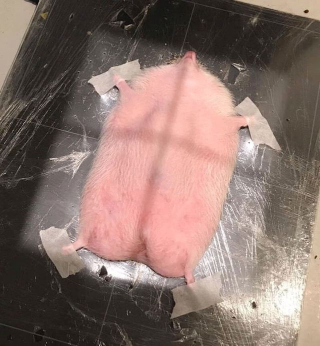 180c584aa714de56e.jpg 로또 사놓은거 까먹고 있다 방금 확인함