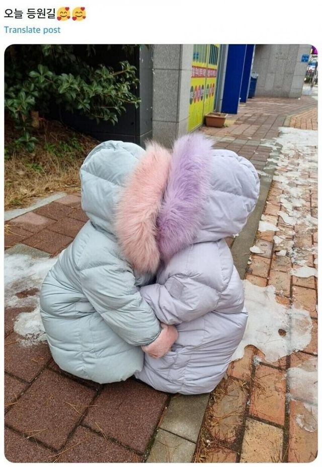 IMG_7184.jpeg 추위에 당황한 아이들