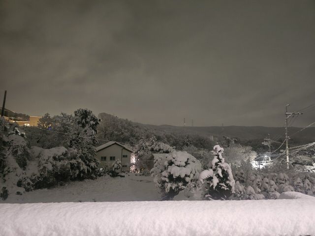 1000026896.jpg 삿포로 여행옴