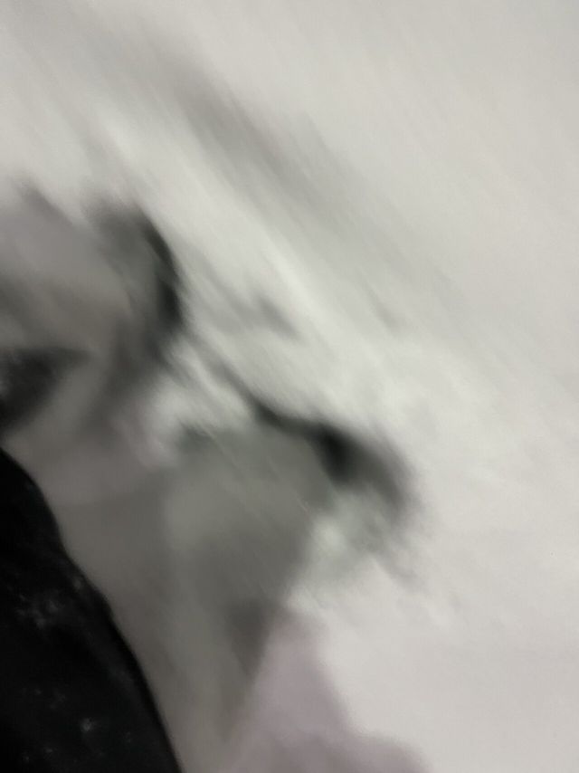 직접찍음 ) 실시간 안산.jpg