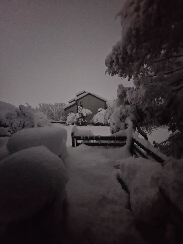 1000026902.jpg 삿포로 여행옴