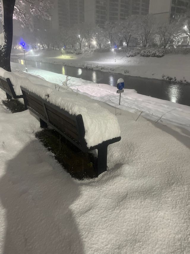 직접찍음 ) 실시간 안산.jpg