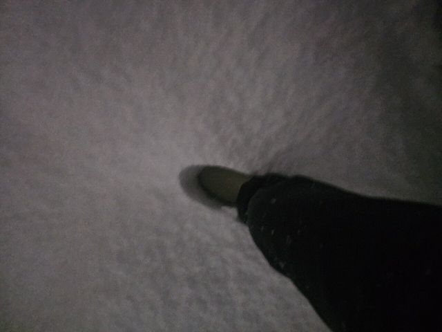 1000026904.jpg 삿포로 여행옴