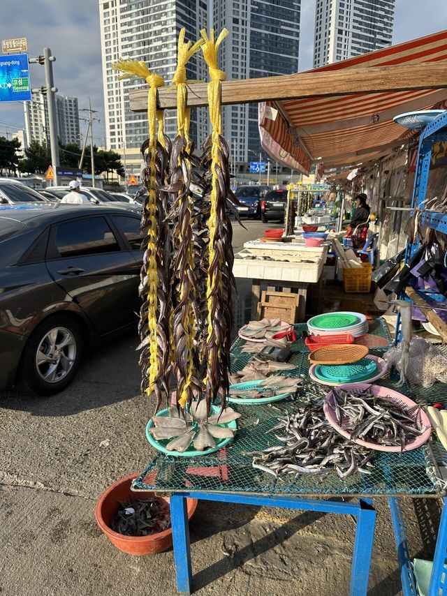 속초 양미리축제 다녀왔습니다