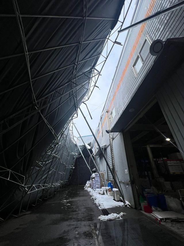 우리 회사 무너졌다..