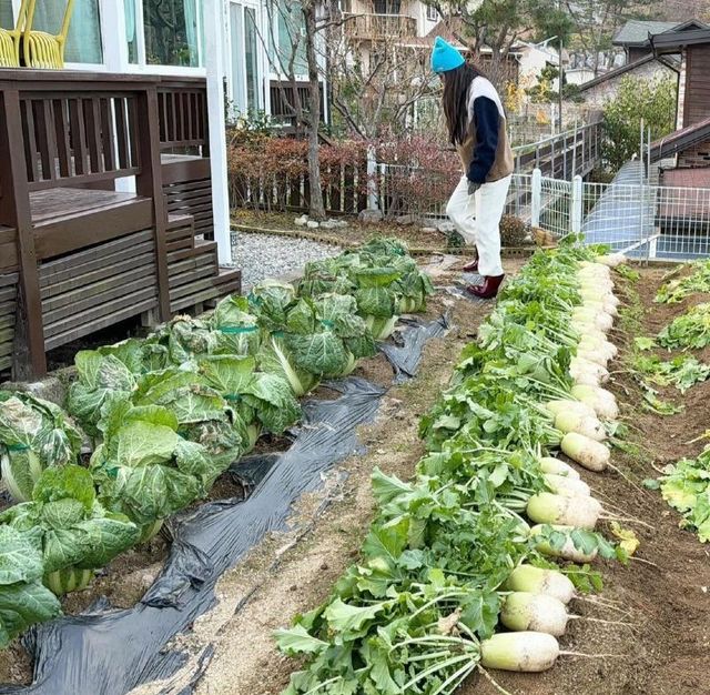 lsnn1732853460_1395055617.jpg 故 김수미 선생님 며느리 서효림 근황