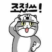 image.png 미국 현지 일리노이에서 보는 미국 대선 감상평.jpg