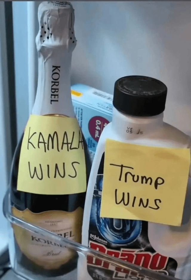 1730936787.png 트럼프가 이기면 락스 마신다는 사람 근황