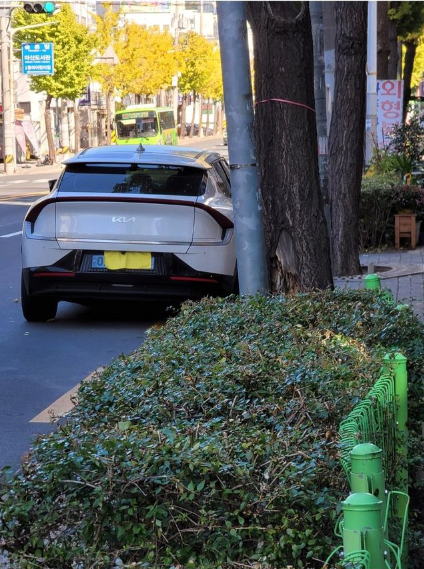 image.png 번호판가림 신고만 했을뿐인데.JPG