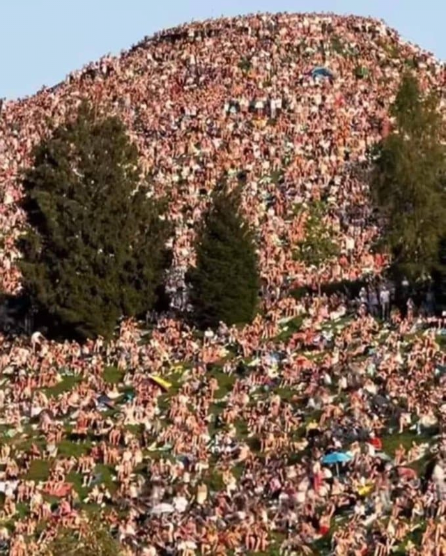 image.png 테일러 스위프트 콘서트 티켓팅 실패한 사람들