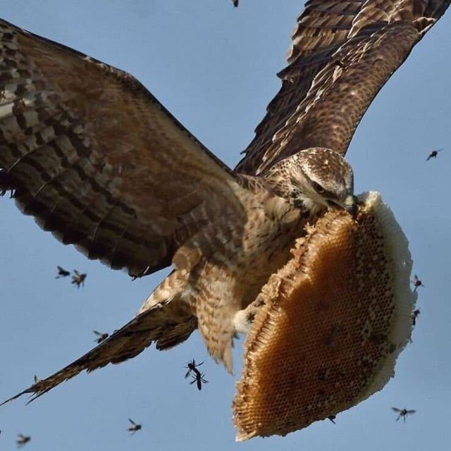 매형이 지 혼자 꿀빨려고 집들고 날랐음