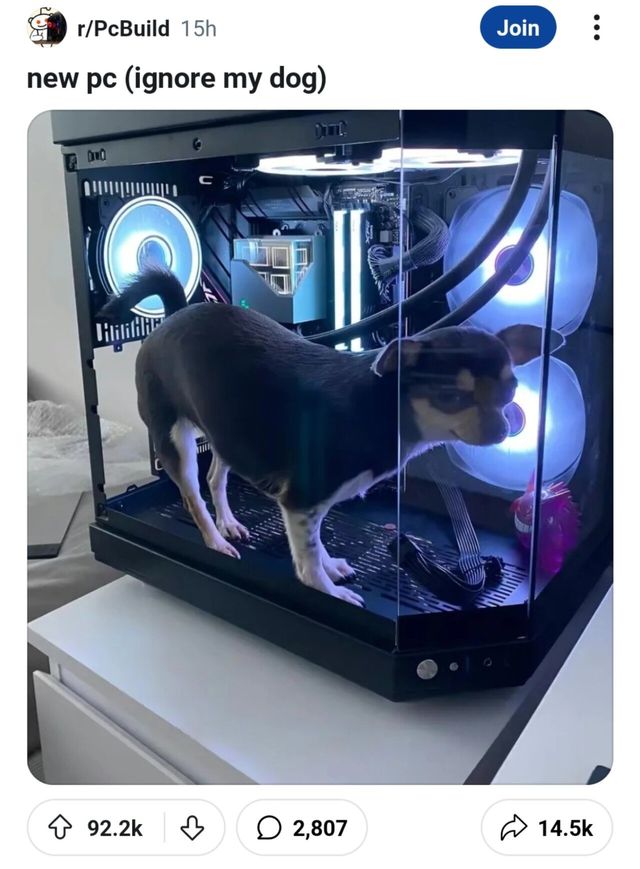 193d4ce9ca1538348.jpg 레딧에서 좋아요 92000개 넘게 받은 개이밍 컴퓨터 인증샷...jpg