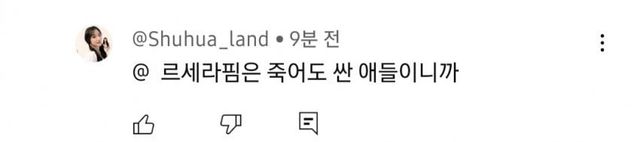 1734348461.jpg 한 뉴진즈 팬의 날카로운 일침