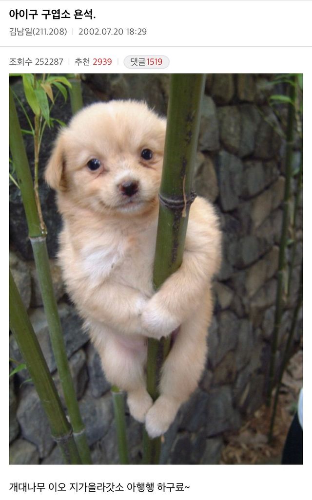 1672114598814-kyl854fnkg.jpg 원본) \'개죽이\' 그 전설의 시작...jpg