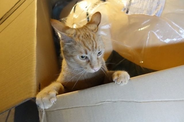 4.jpg 거대 잠만보 인형 후기.jpg