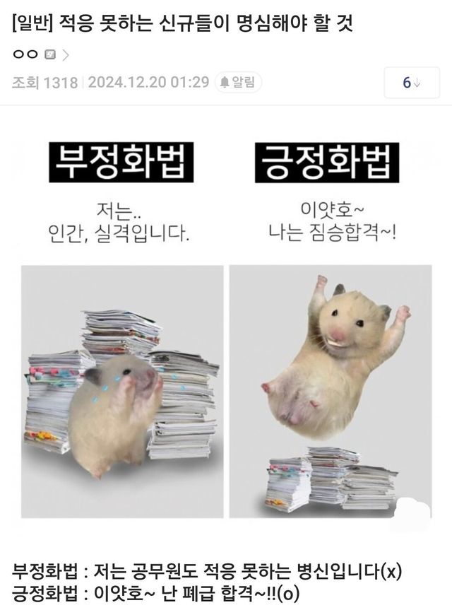 적응 못하는 직장인 신규들이 명심해야 할 것