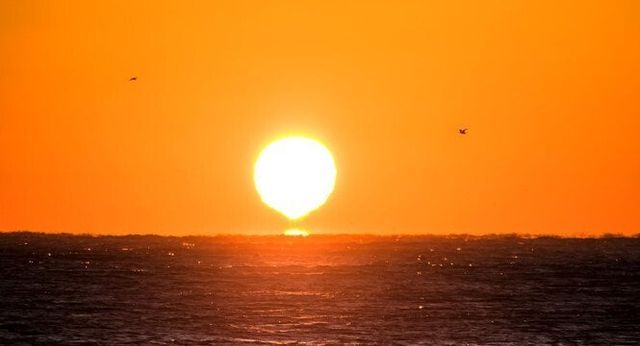 1000061914.jpg [오피셜] 2024 크리스마스 종료