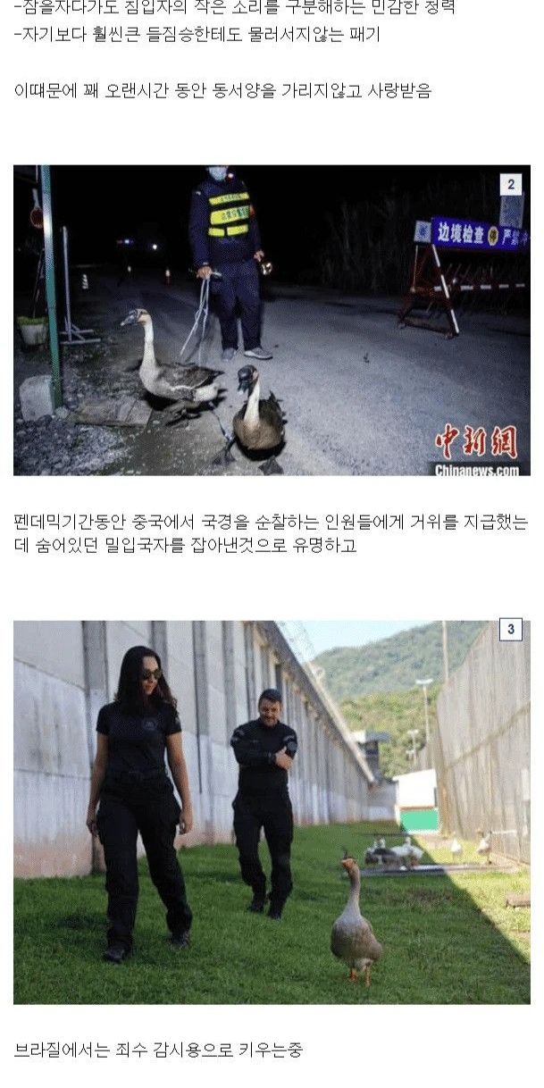 47a38a9b-adc8-4253-8a4d-1a6673afb866_1.jpg?area=BODY&requestKey=i7aOh15u