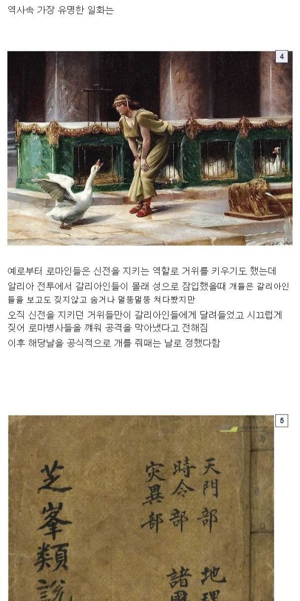 47a38a9b-adc8-4253-8a4d-1a6673afb866_2.jpg?area=BODY&requestKey=i7aOh15u