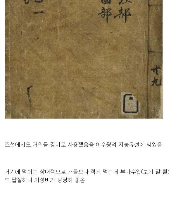 47a38a9b-adc8-4253-8a4d-1a6673afb866_3.jpg?area=BODY&requestKey=i7aOh15u