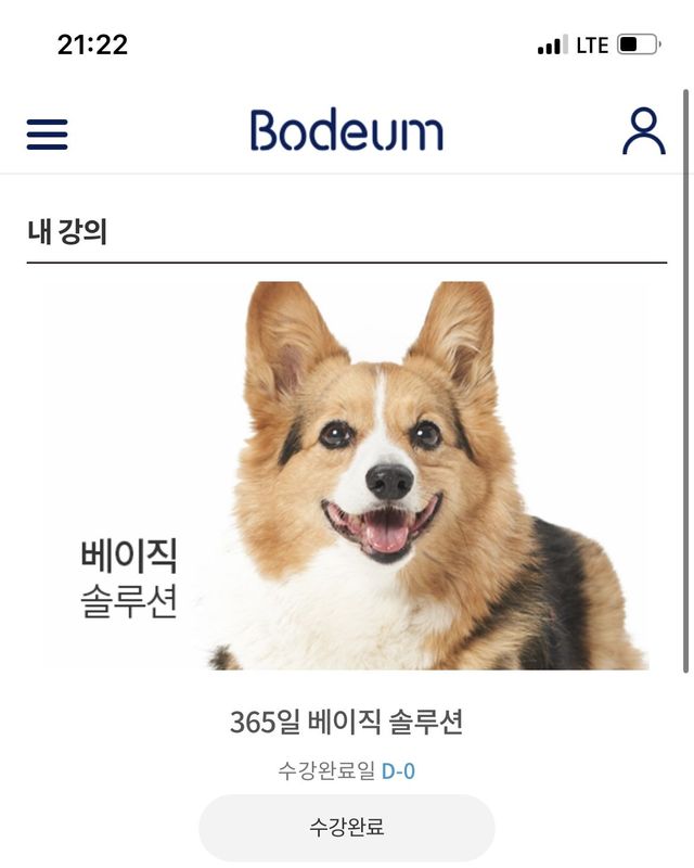 IMG_3161.jpeg 보듬 다녔었다 질문받는다(인증 있음)