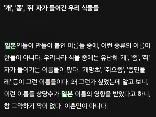 dcbest-20240503-052552-007-resize.jpg 우리나라 식물들 중 천박한 이름이 많은 이유