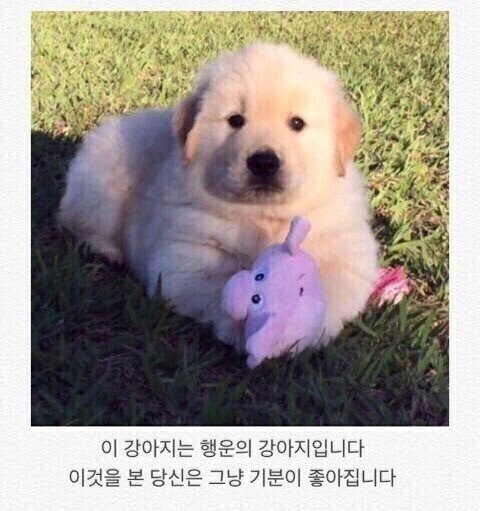 fdc9932cb48babfa7253c455353c1b62.png 요새 내 활동 패턴