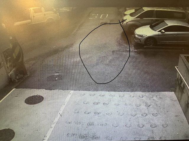 자영업하는 펨붕인데